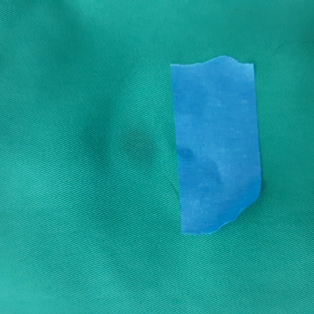 Capris - Picture 4 of 5